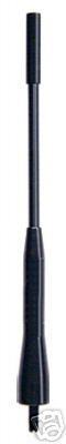 Antenna pungiglione ape - , nera