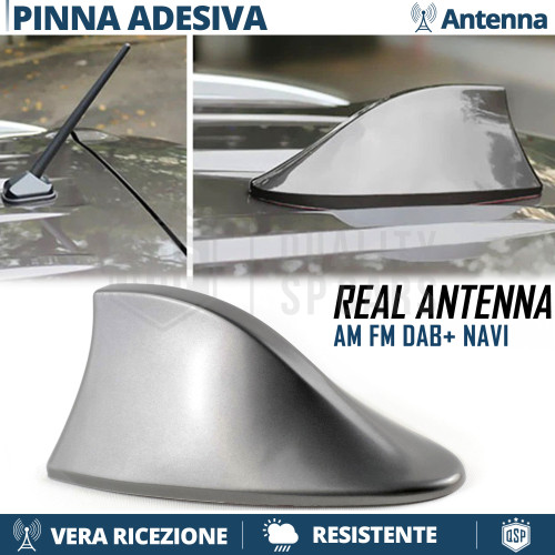 Antenna pinna squalo grigia - pinna,