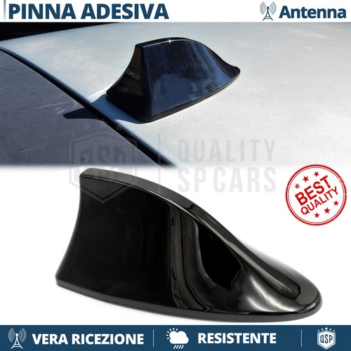 Antenna pinna squalo - pinna,