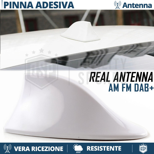 Antenna pinna squalo bianca - pinna,